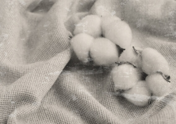 製綿業を営む村田製綿所の創業